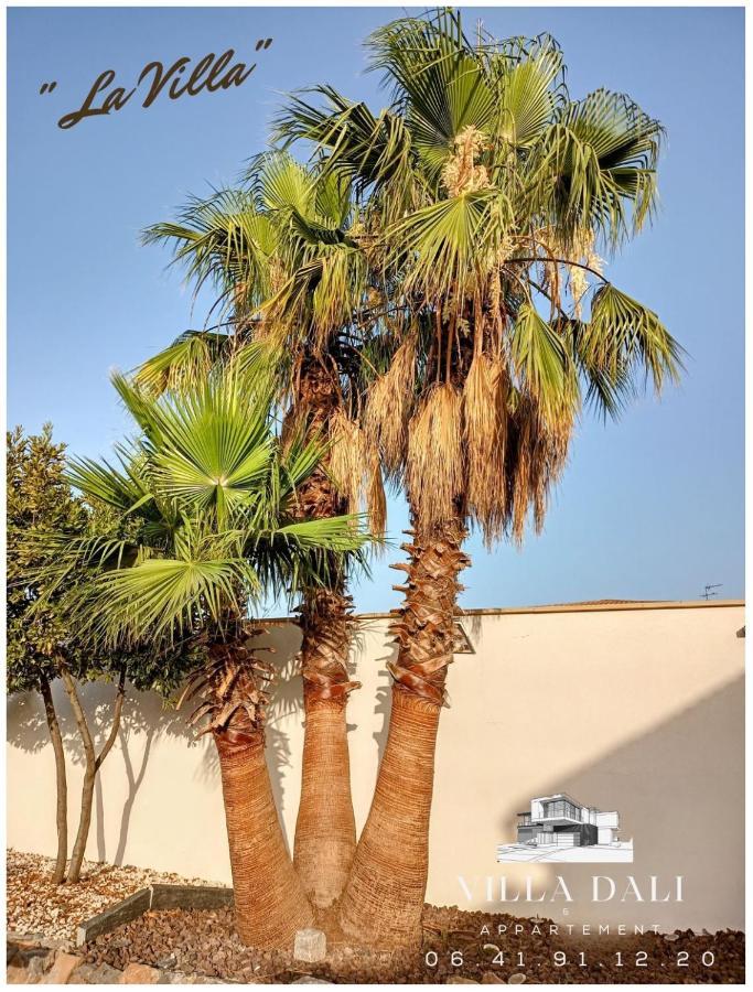 Villa Dali La Garde 260M2 Jacuzzi, Sauna, Piscine, Jardin 500M2, 5 Minutes De La Plage Eksteriør billede